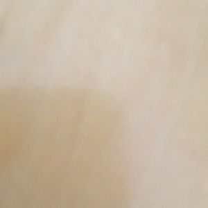 Meet your Posher, Lindsay